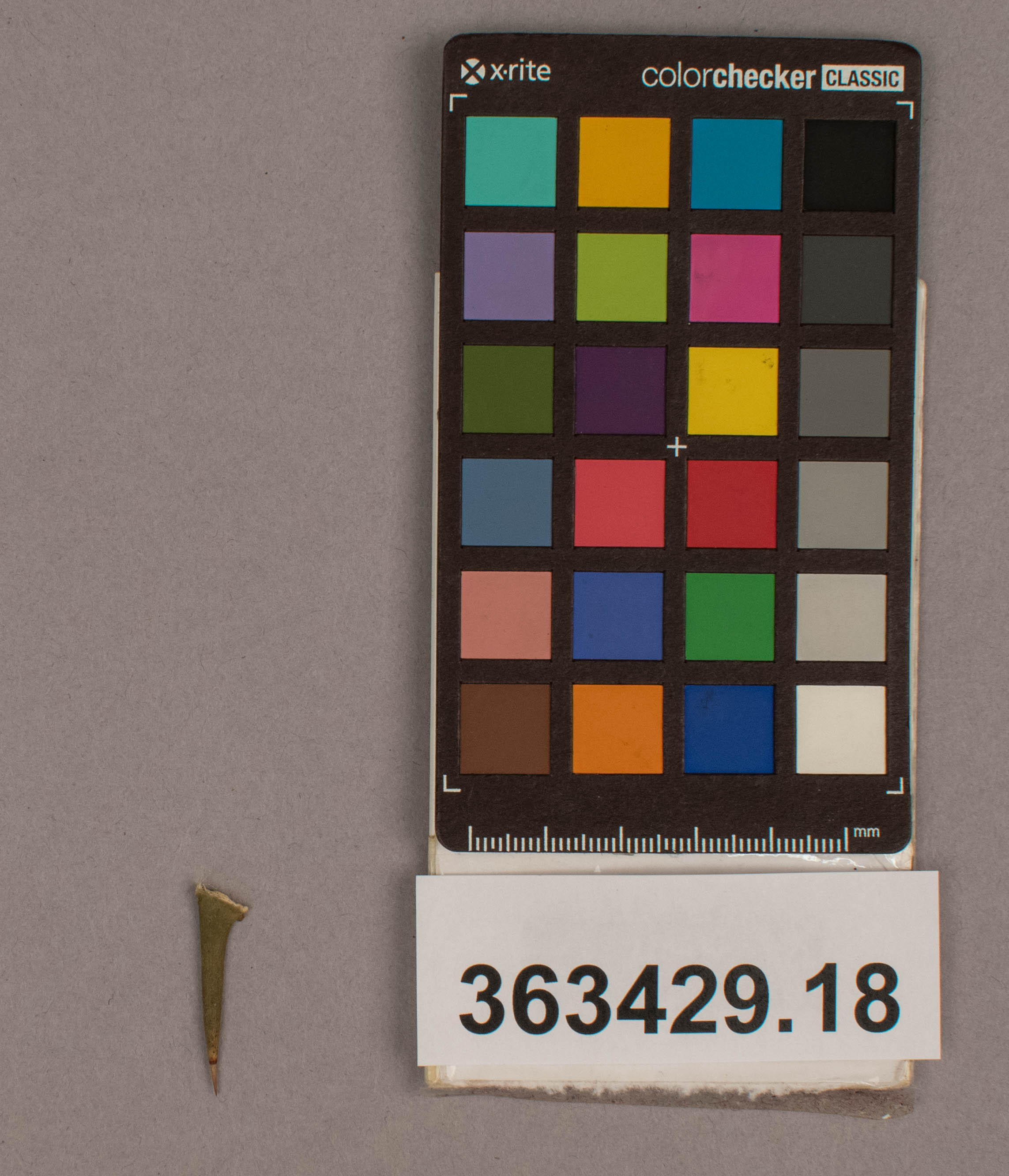 reference image, overall  