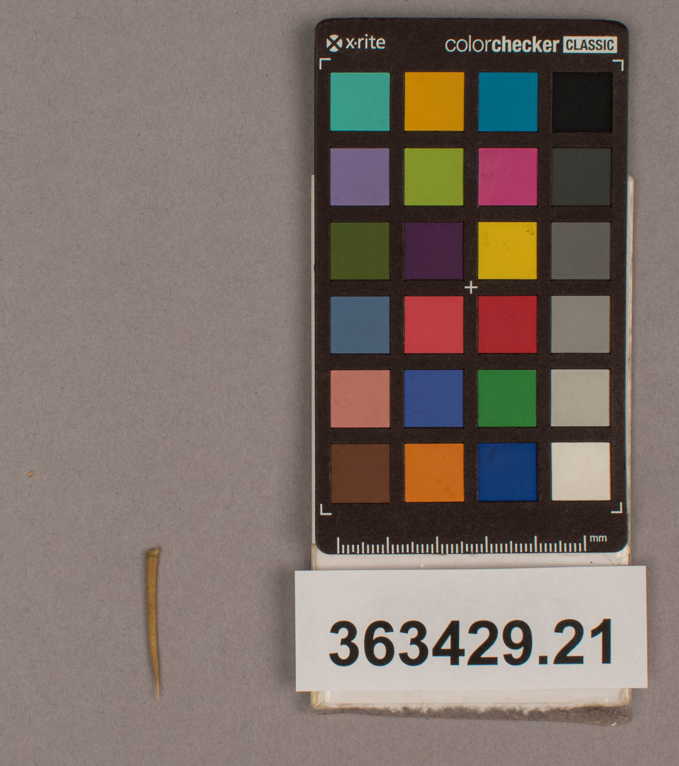 reference image, overall  