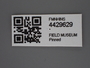 4429629 Dermaptera label IN