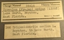 26416 Corculum medium label FMNH IZ