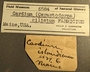 6584 Cardium ciliatum label FMNH IZ