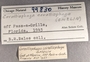 99830 Coralliophaga coralliophaga label FMNH IZ