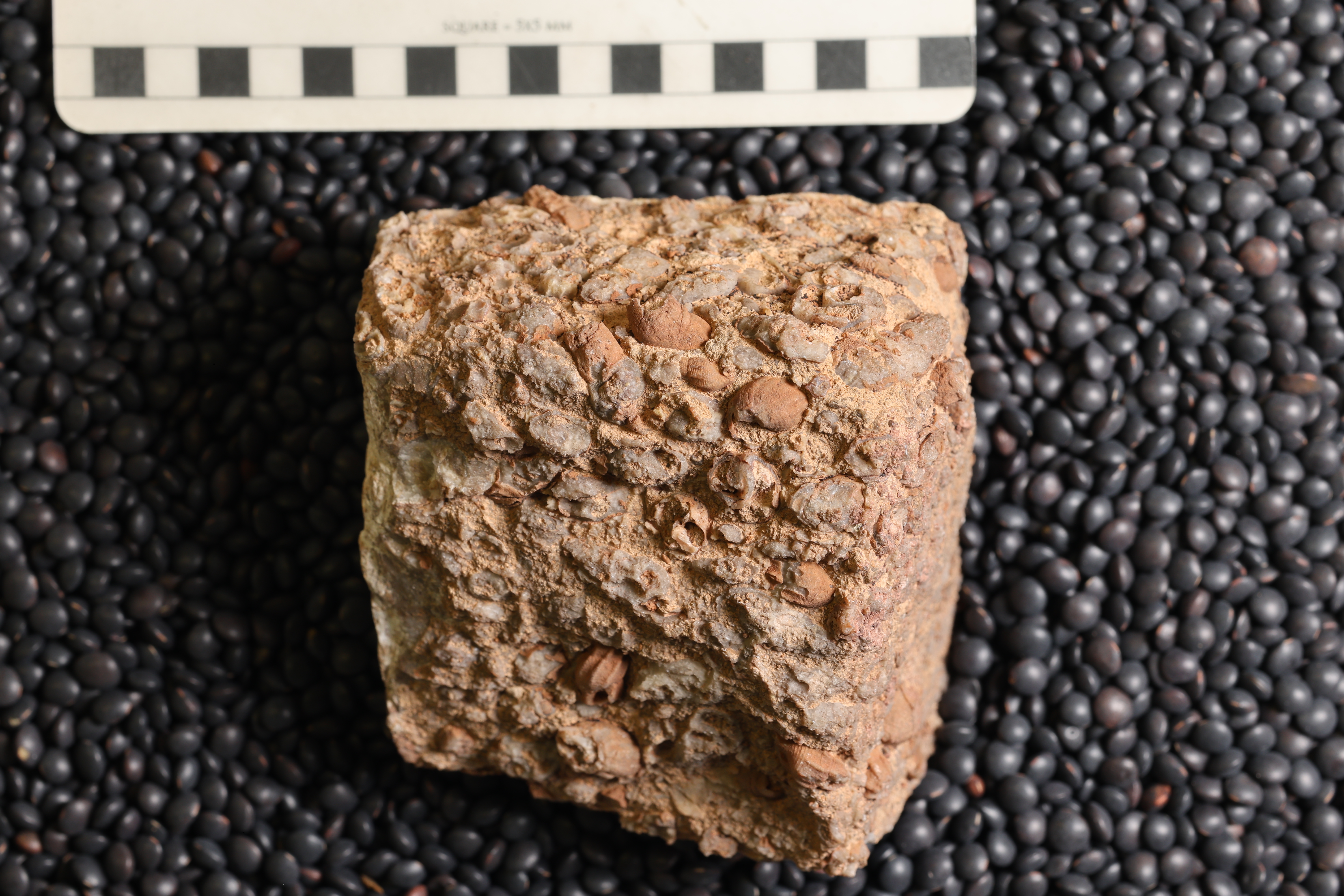 Media | Geology Collections