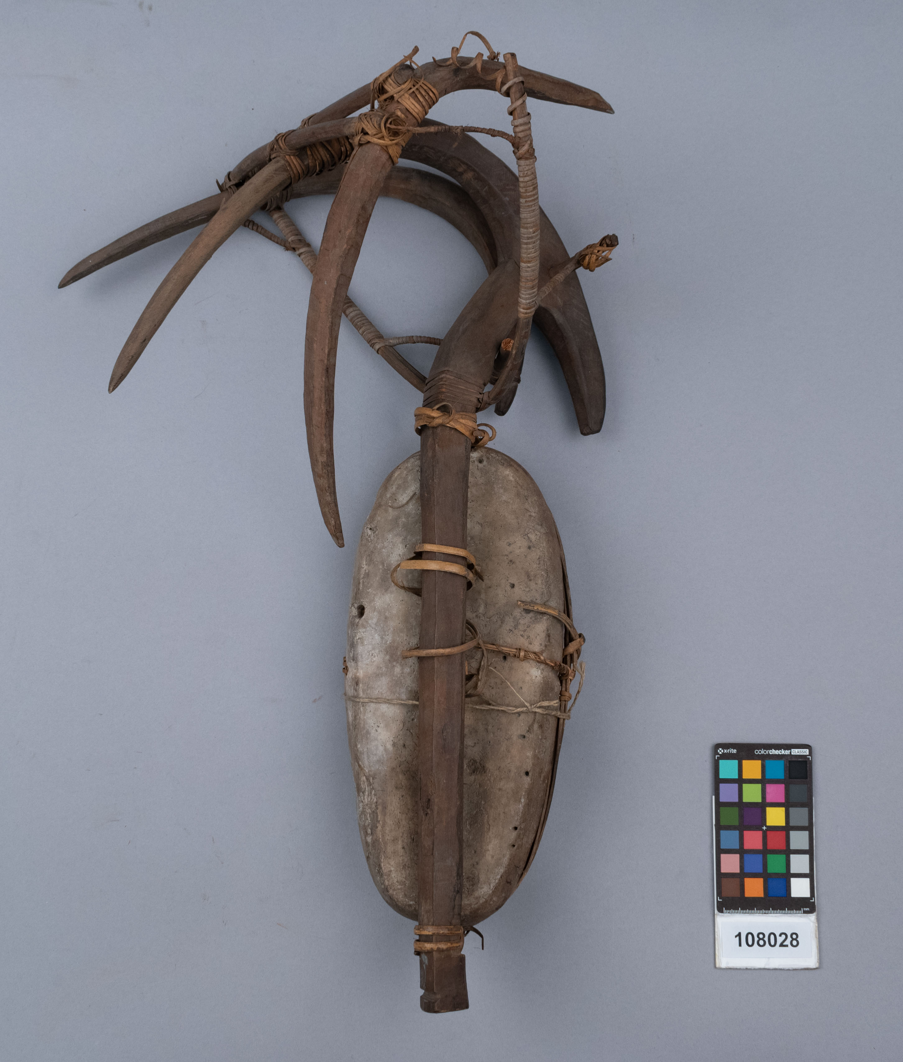 reference image, back view 