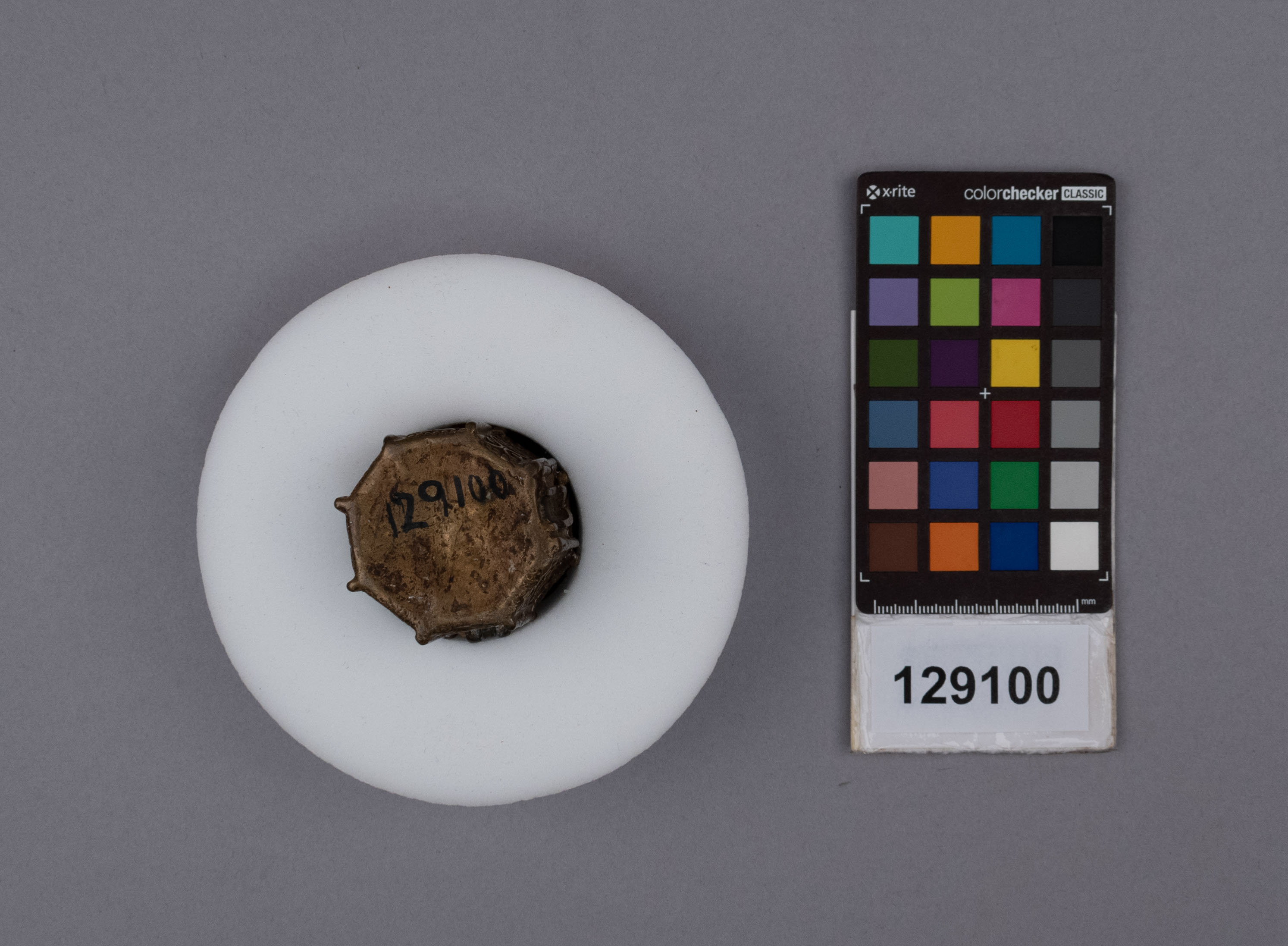 reference image, bottom view 