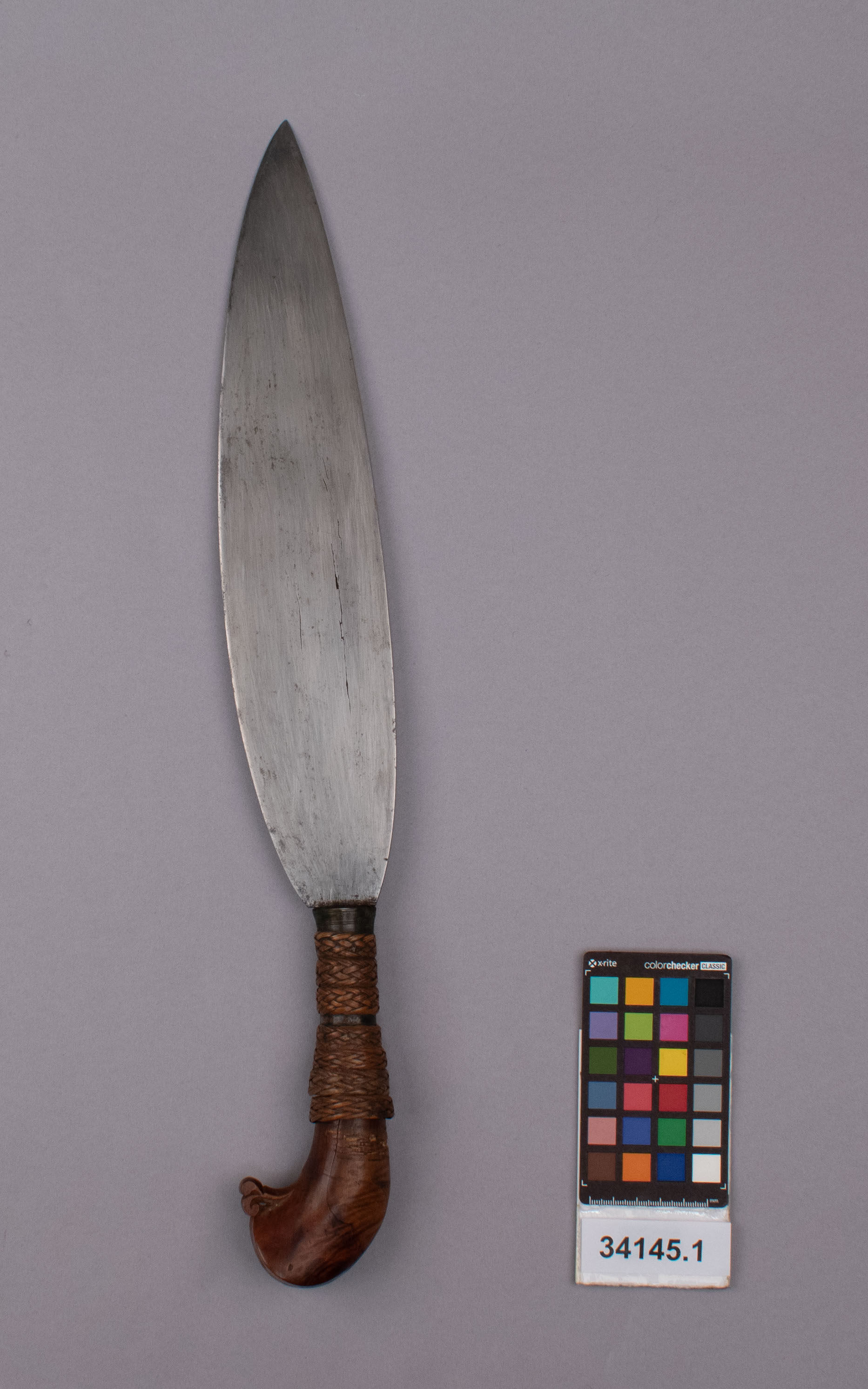 reference image, back view 