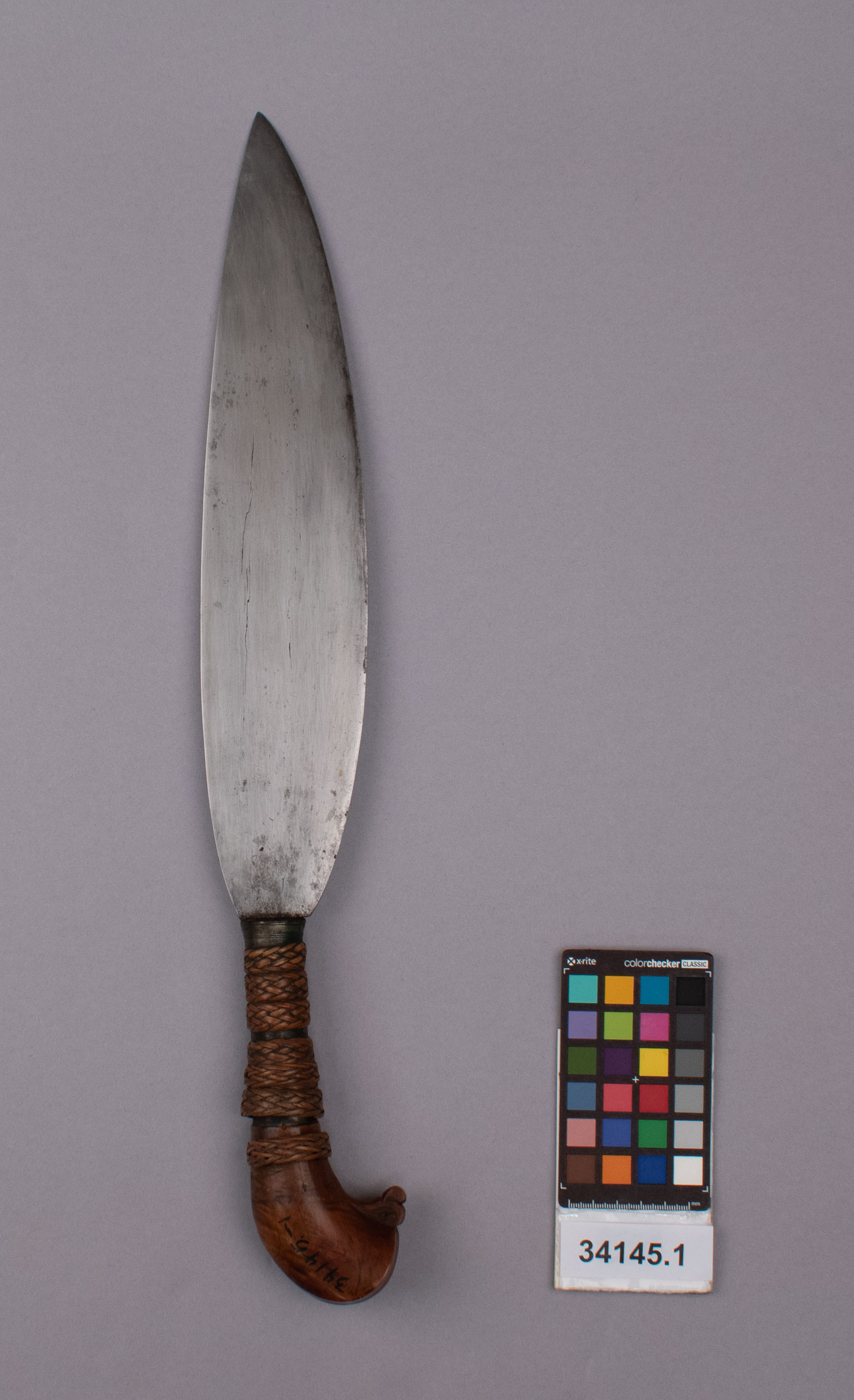 reference image, front view 