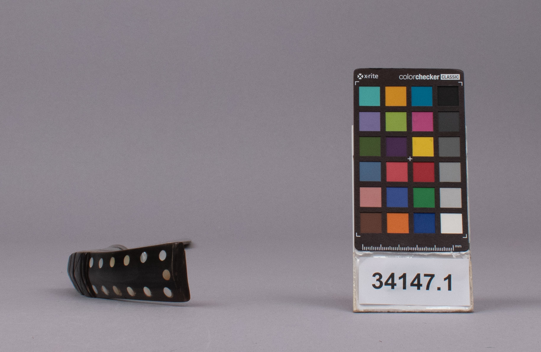 reference image, bottom view 