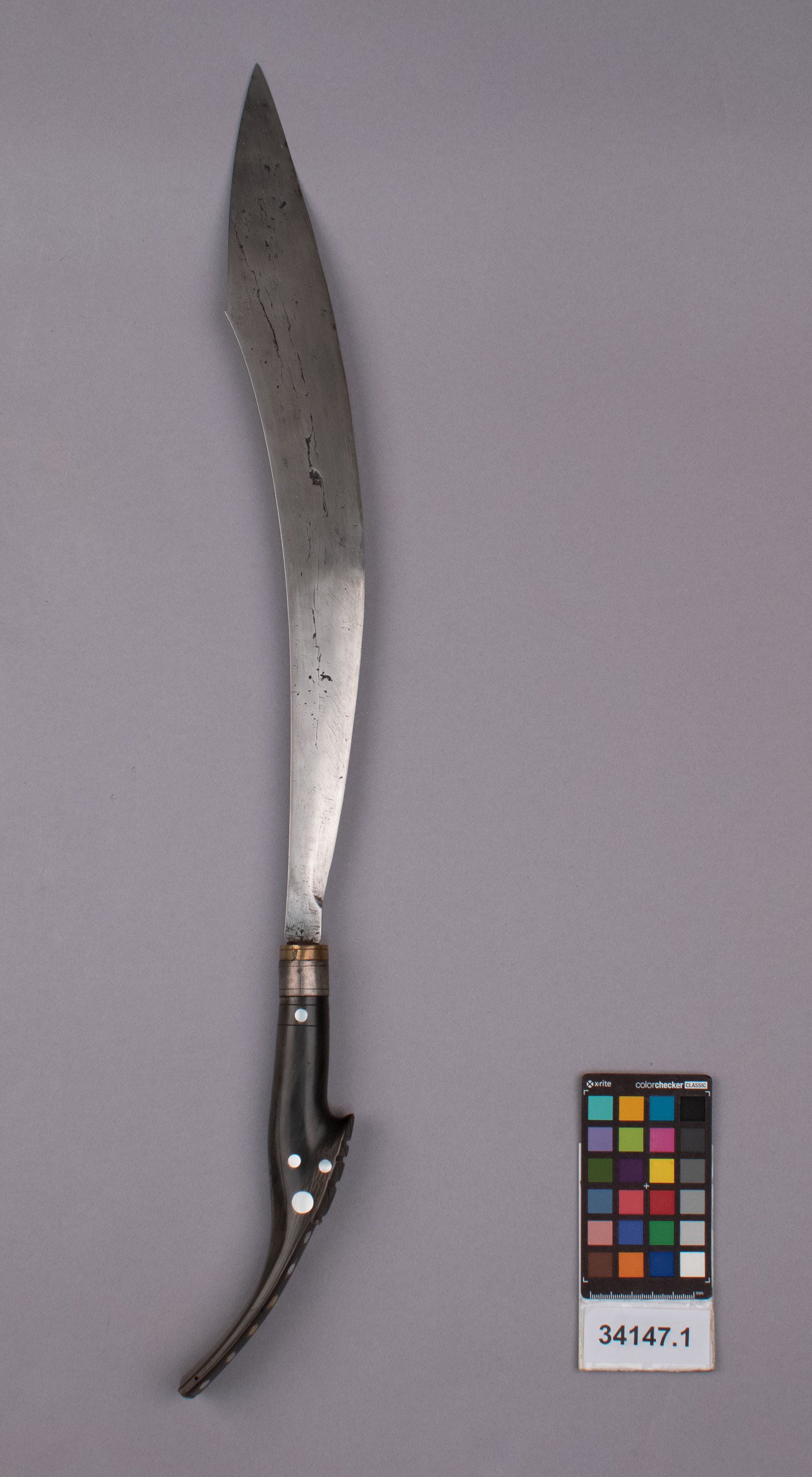 reference image, front view 