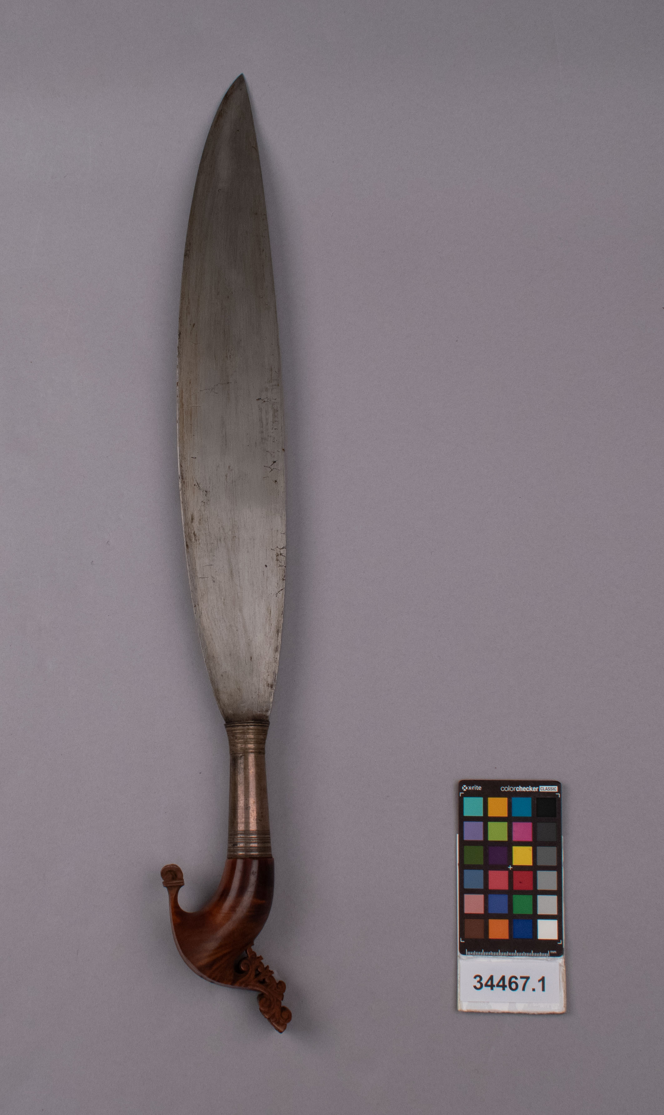 reference image, back view 