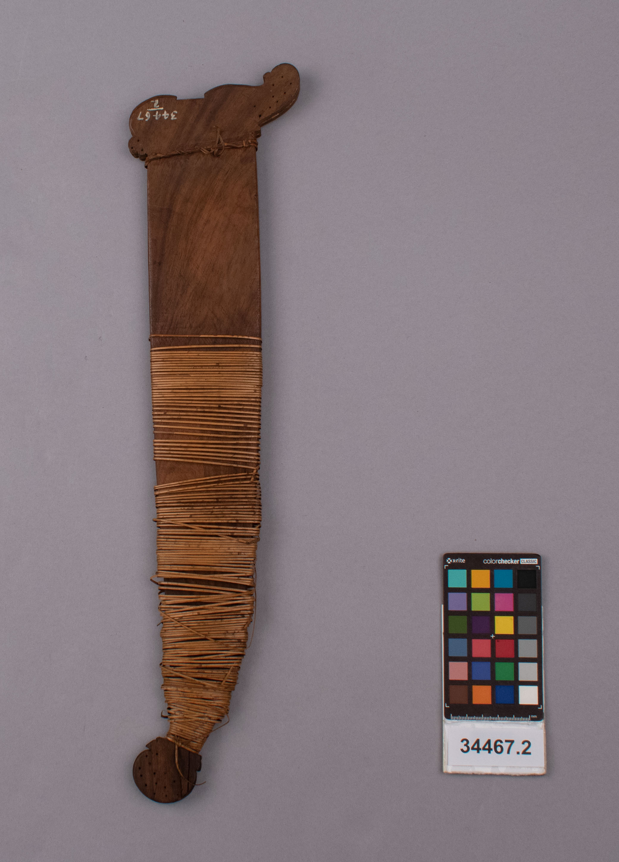 reference image, back view 