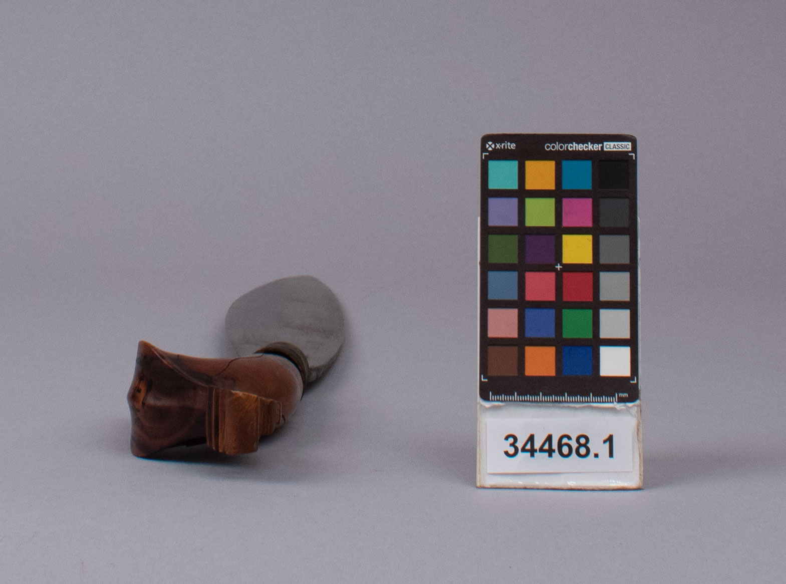 reference image, bottom view 