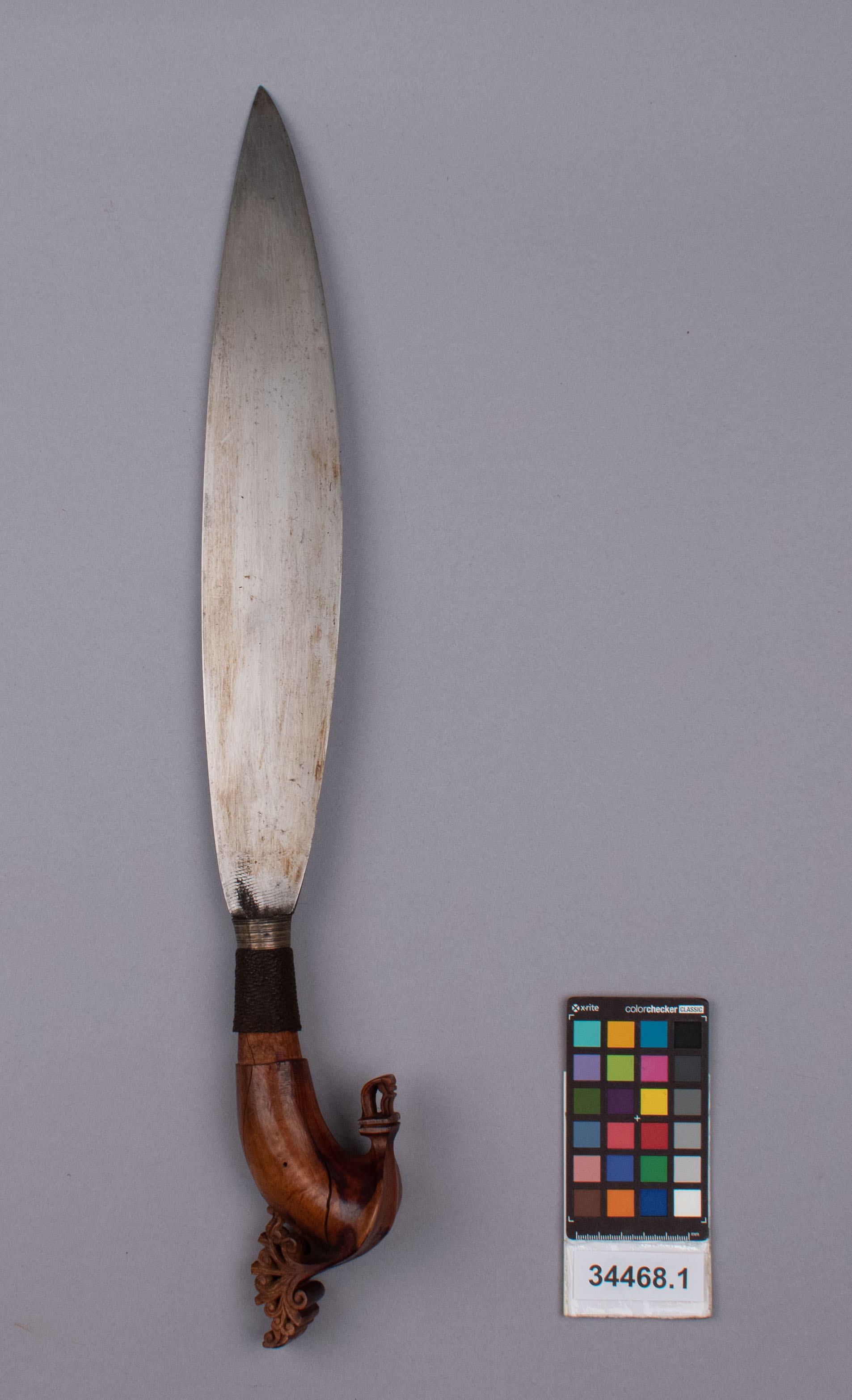 reference image, front view 