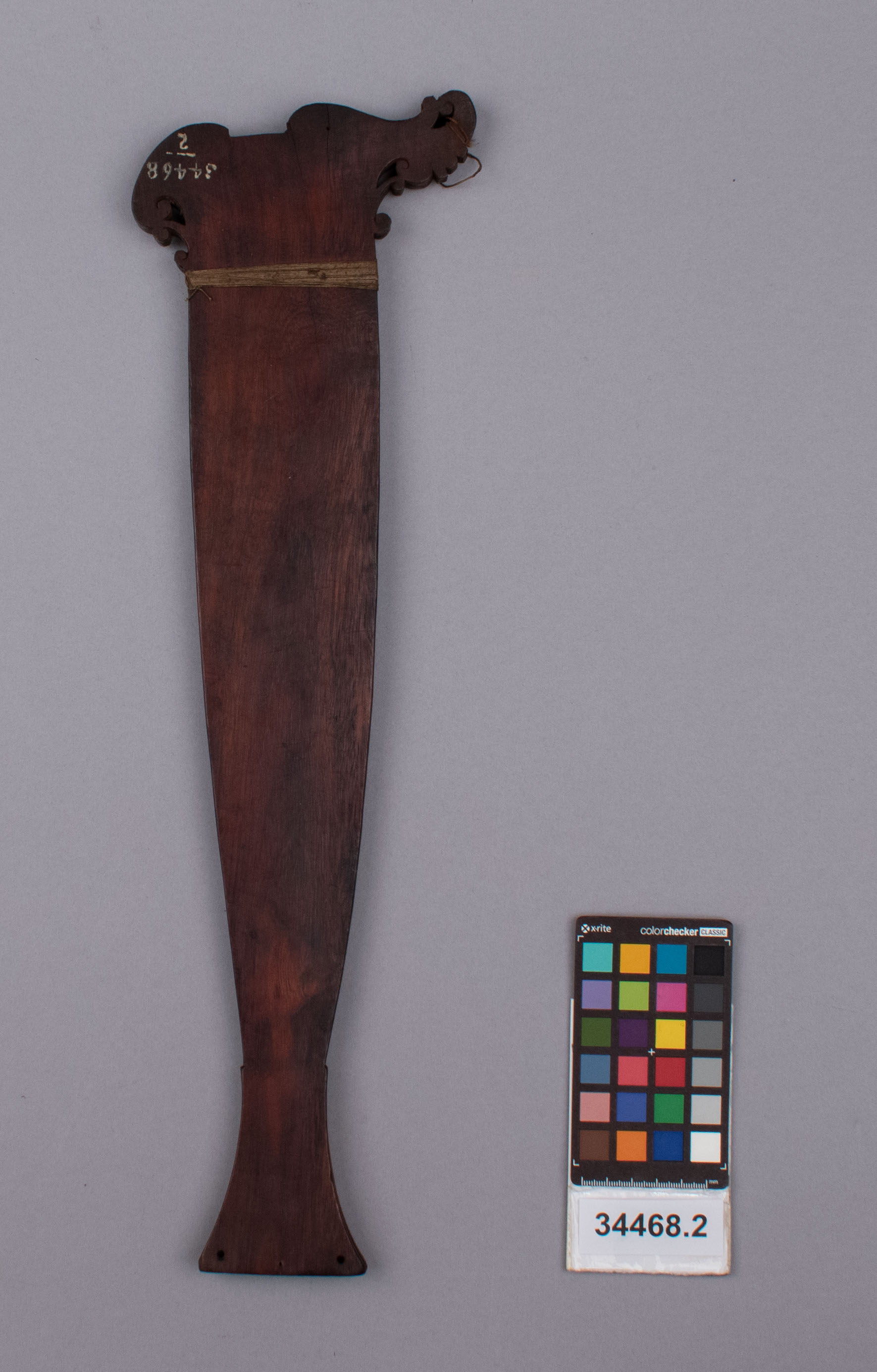 reference image, back view 