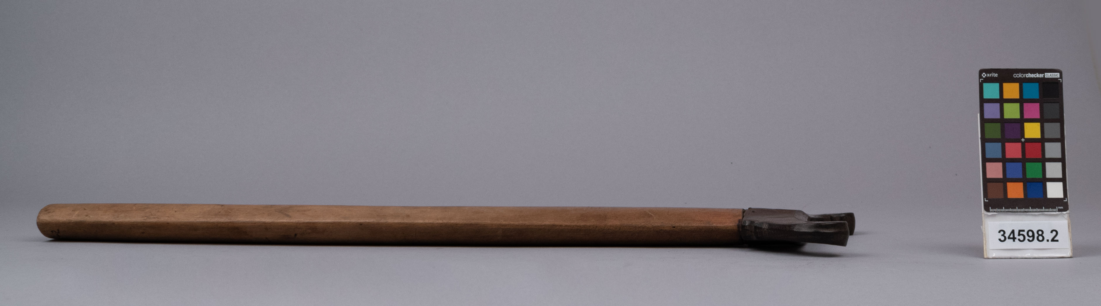 reference image, left view 