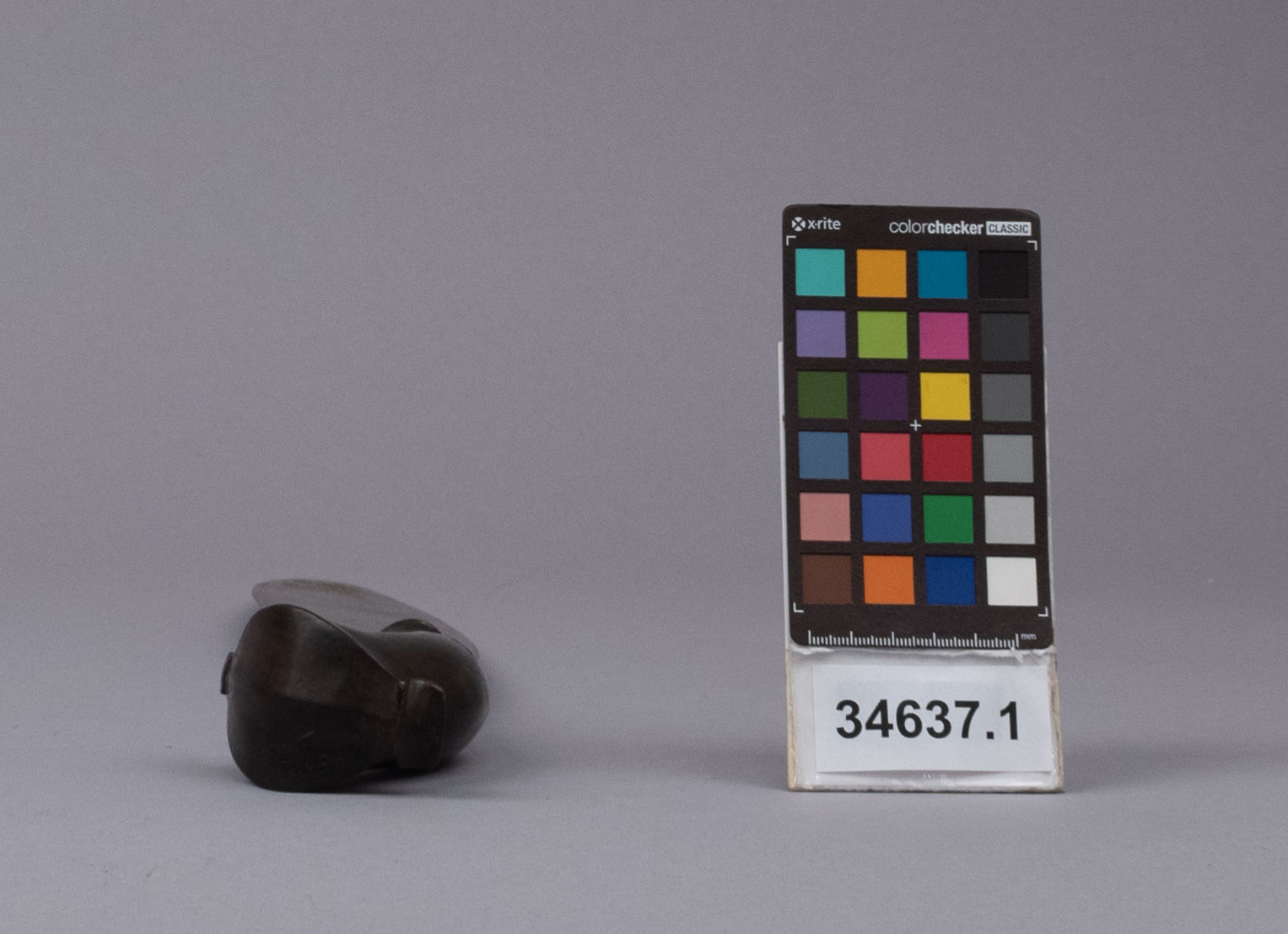 reference image, bottom view 