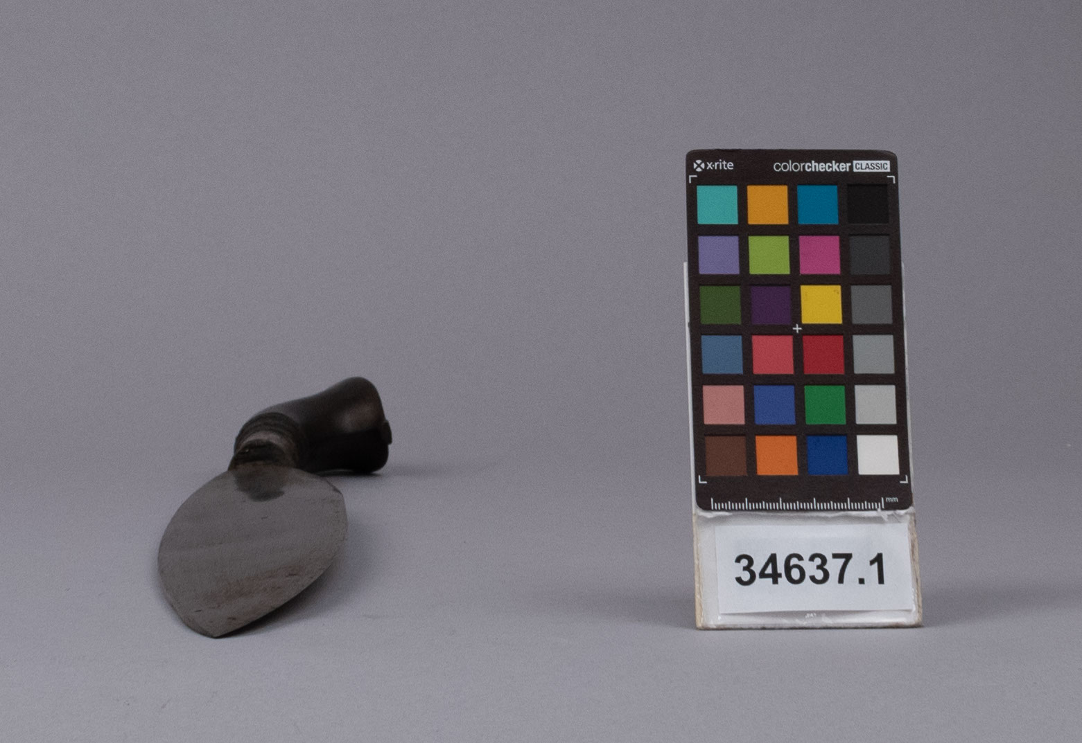 reference image, top view 