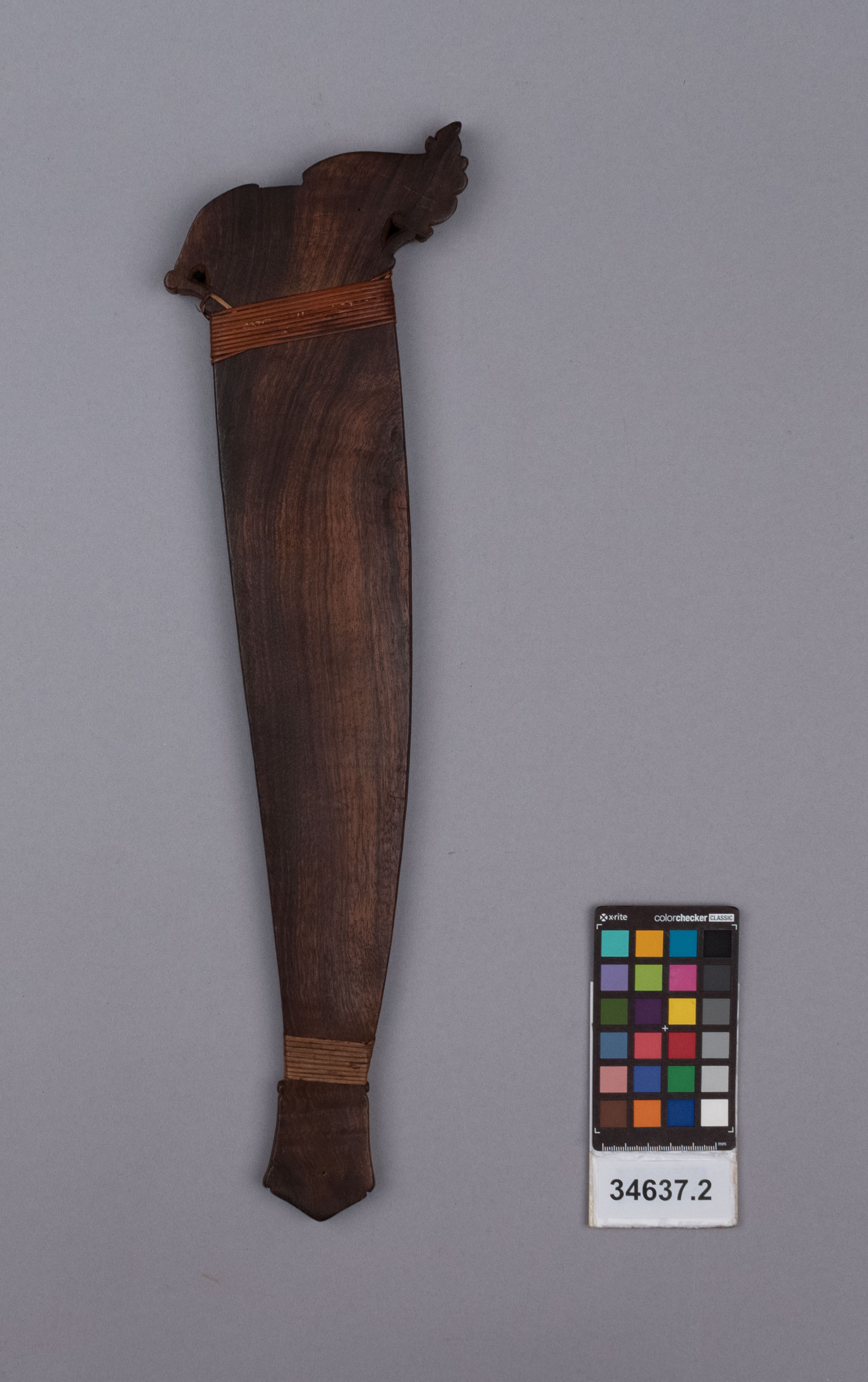 reference image, back view 