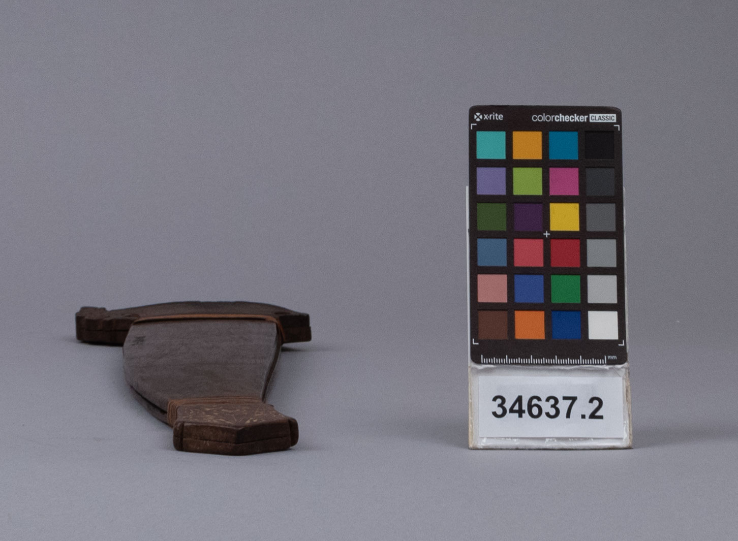 reference image, bottom view 