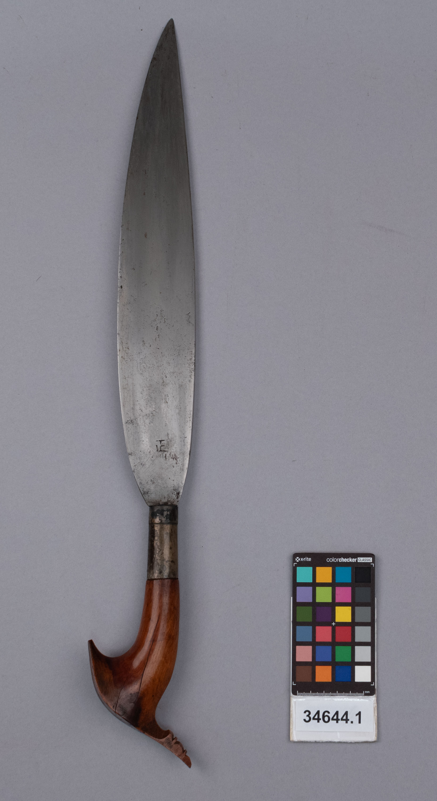 reference image, back view 