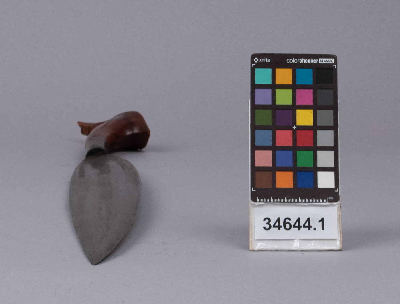 reference image, bottom view 