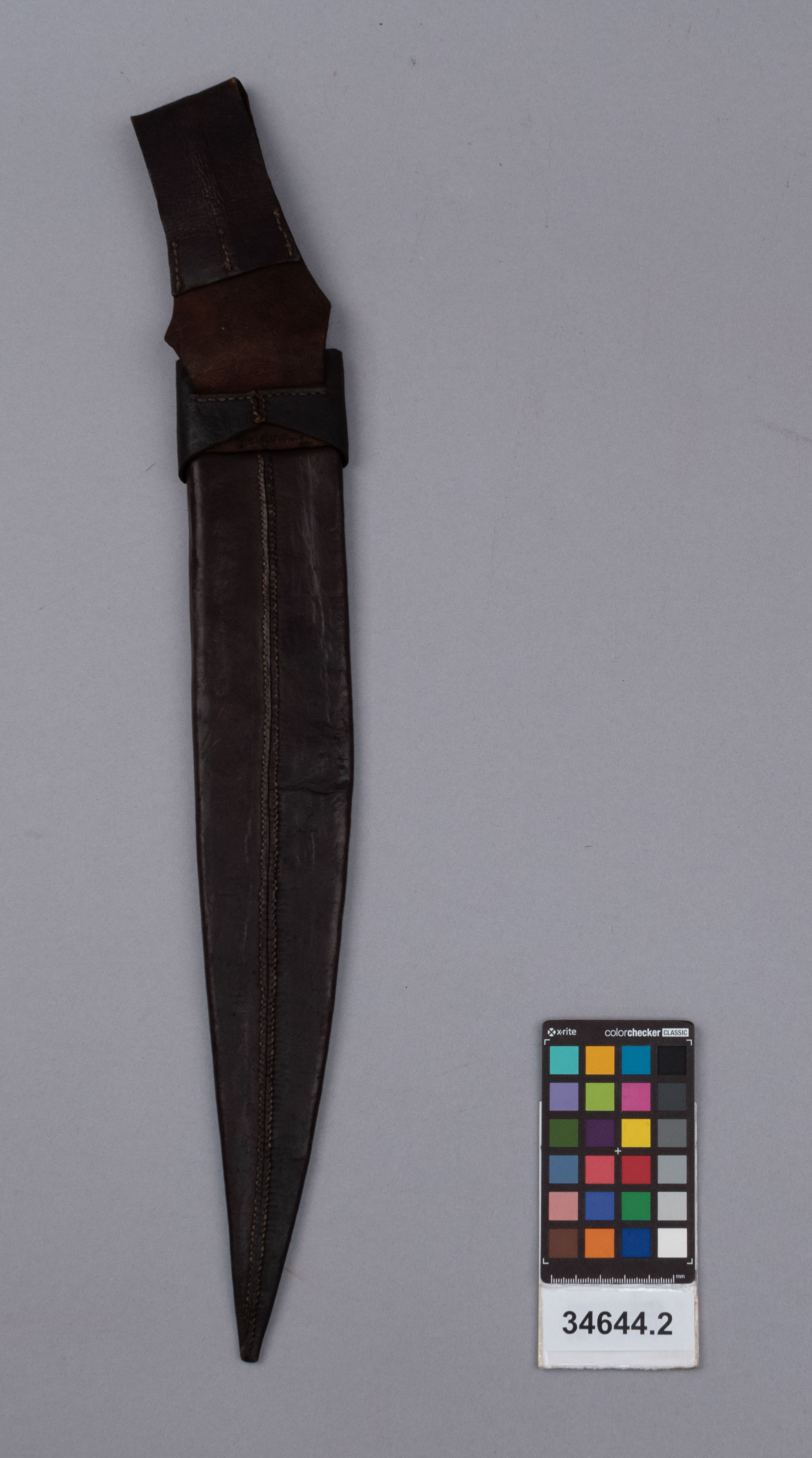 reference image, back view 