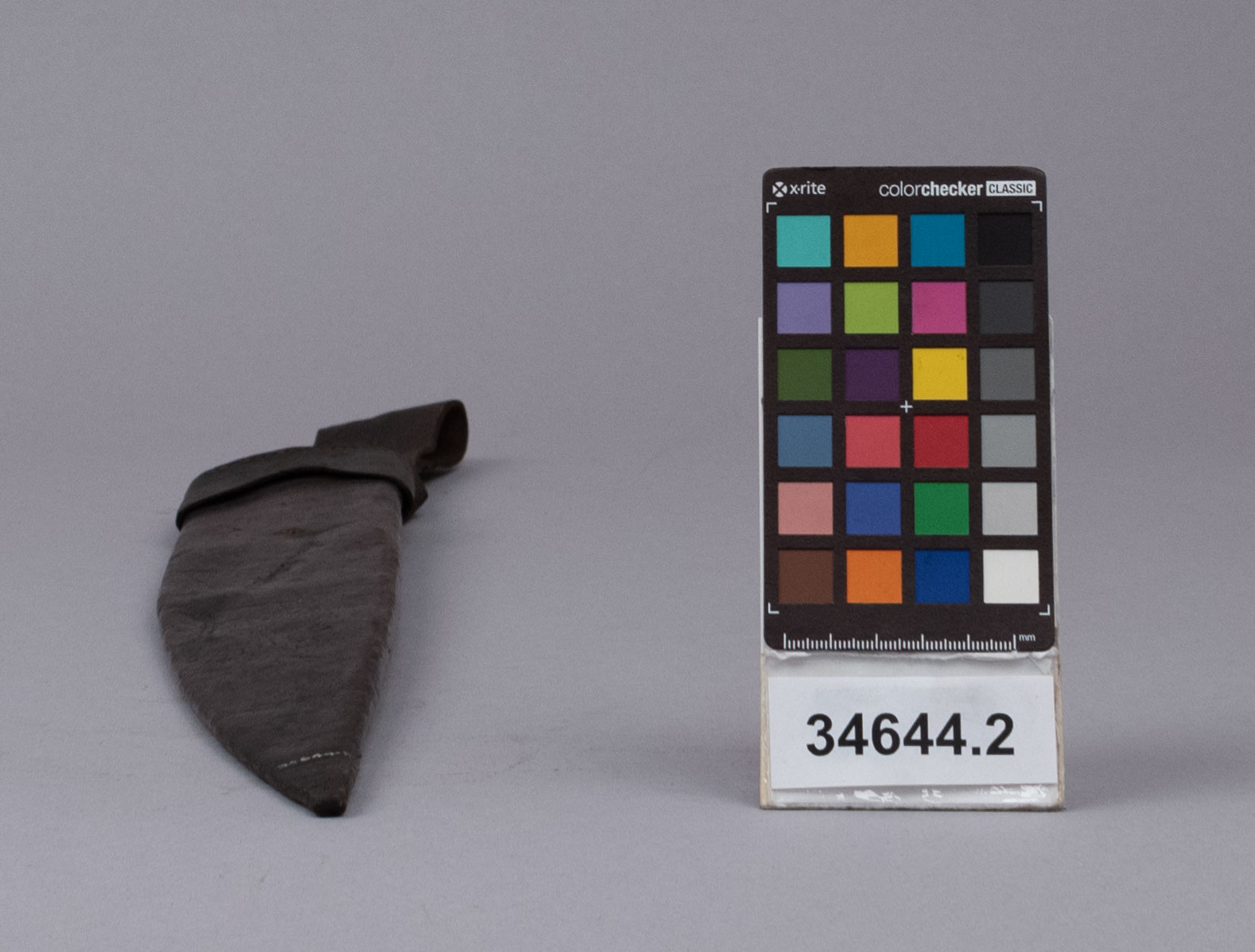 reference image, bottom view 