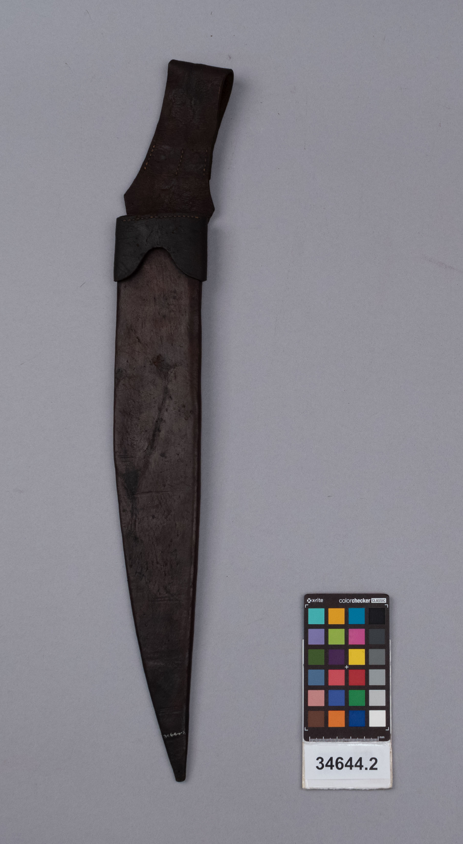 reference image, front view 