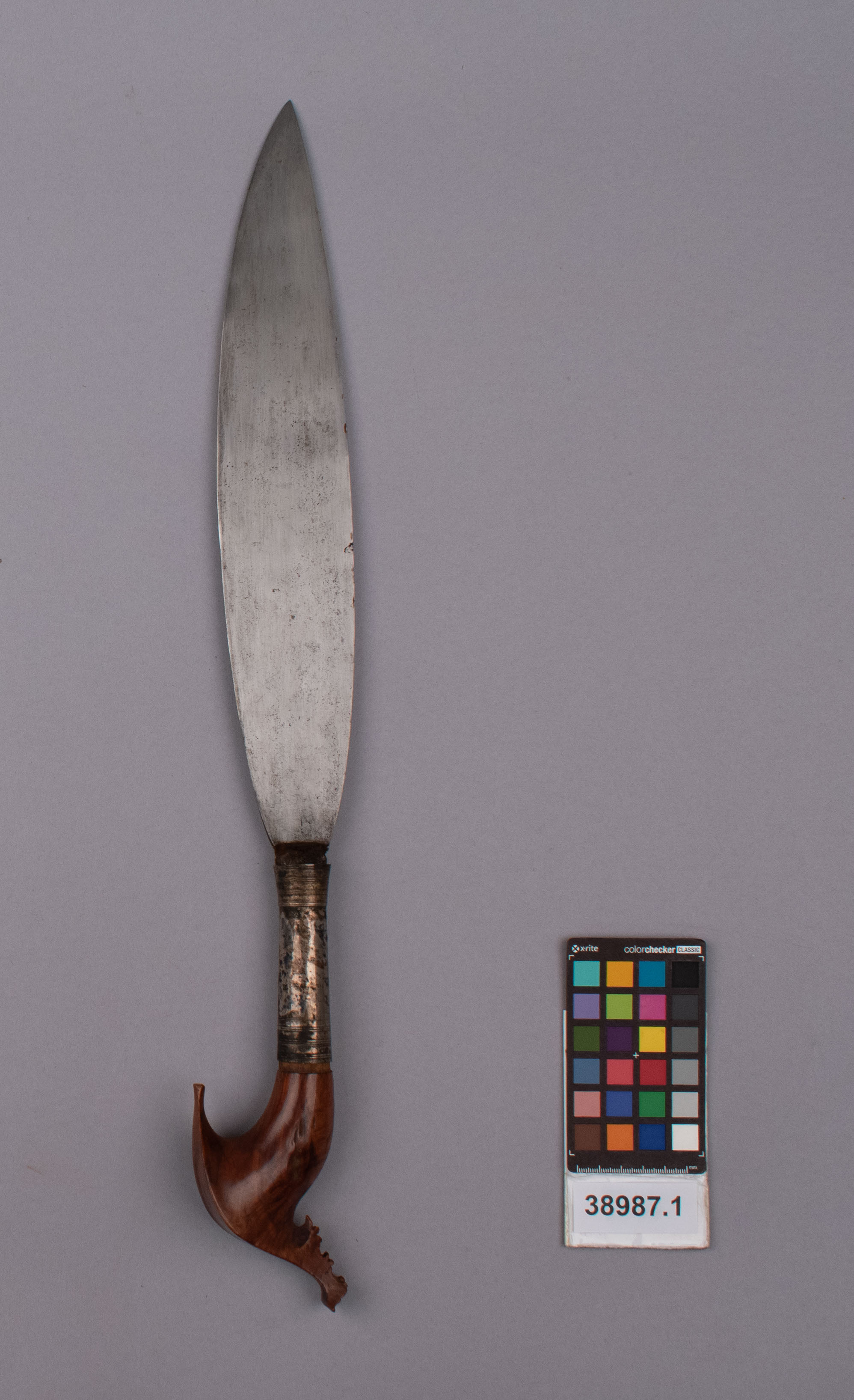 reference image, front view 