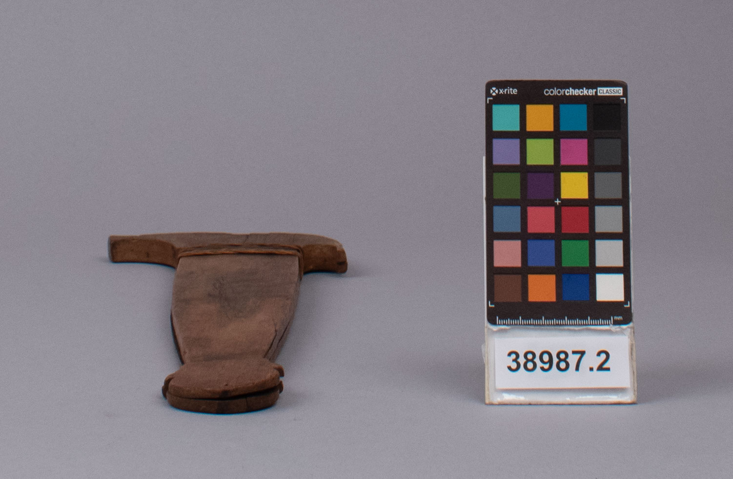 reference image, bottom view 