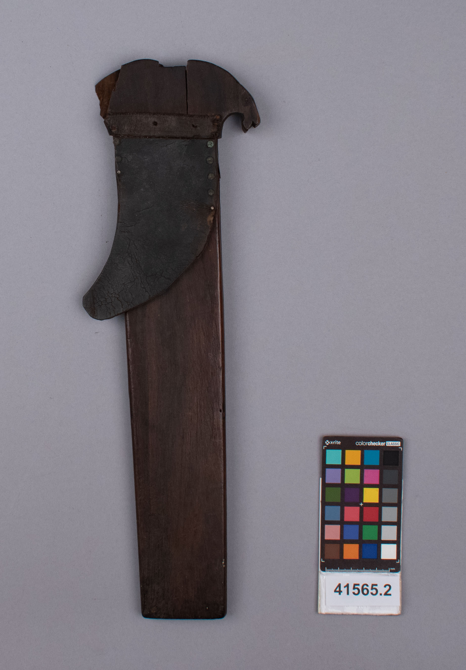 reference image, front view 