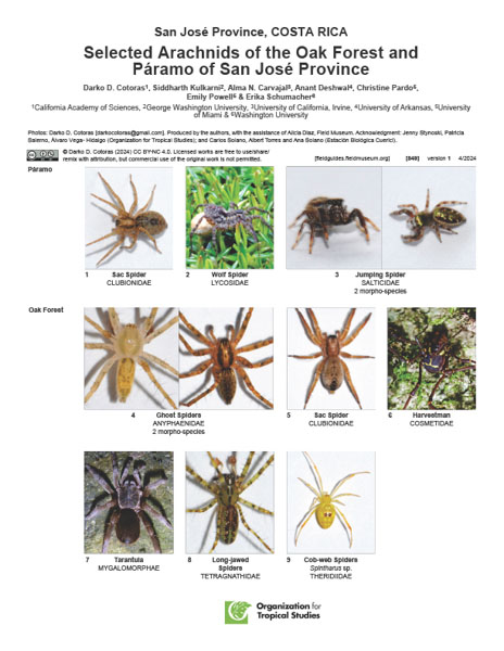 Selected Arachnids of the Oak Forest and Páramo of San José Province