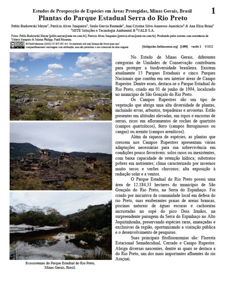Plants of the Serra do Rio Preto State Park
