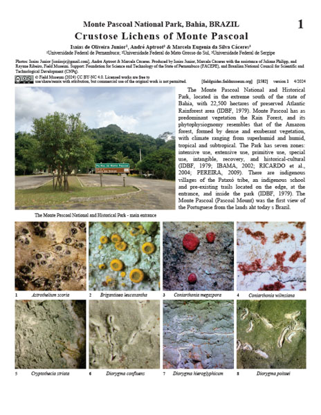 Crustose Lichens of Monte Pascoal National and Historical Park