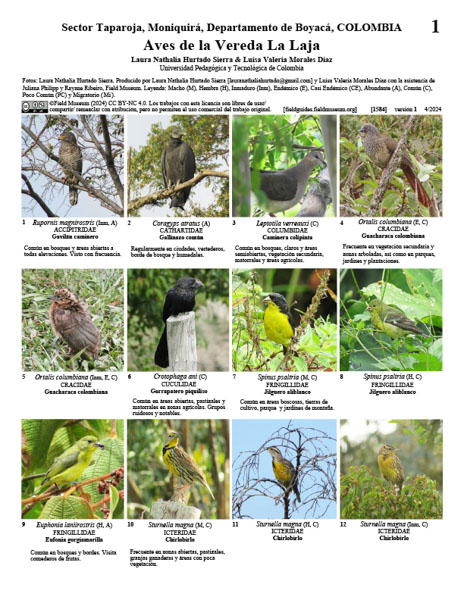 Aves da Vereda La Laja