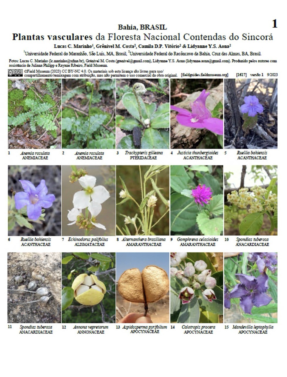 Plantas vasculares de la Floresta Nacional Contendas do Sincorá