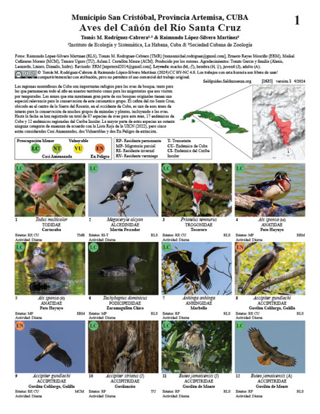 Birds of the Santa Cruz River Canyon