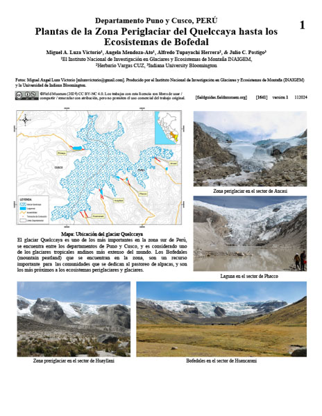 Plantas da Zona Periglacial Quelccaya aos Ecossistemas Bofedal