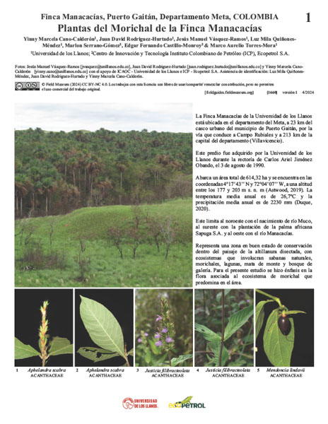 Plantas del Morichal de la Finca Manacacías