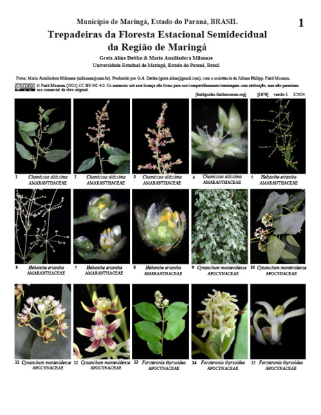 Climbing plants of the Semideciduous Seasonal Forest from the Maringá Region