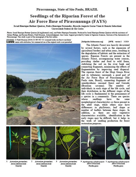 Plántulas del Bosque Ribereño del Base Aérea de Pirassununga (FAYS)
