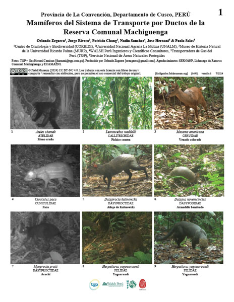 Mammals of the Pipeline Transportation System of the Machiguenga Communal Reserve
