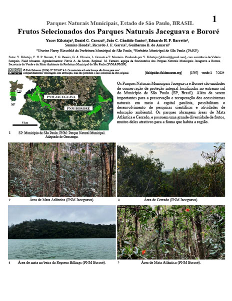 Frutas Seleccionadas de los Parques Naturales Jaceguava y Bororé