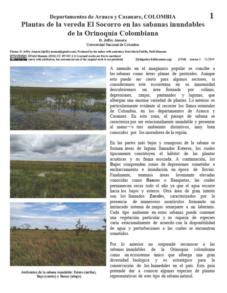Plants from the El Socorro area in the flooded savannas of the Colombian Orinoquía