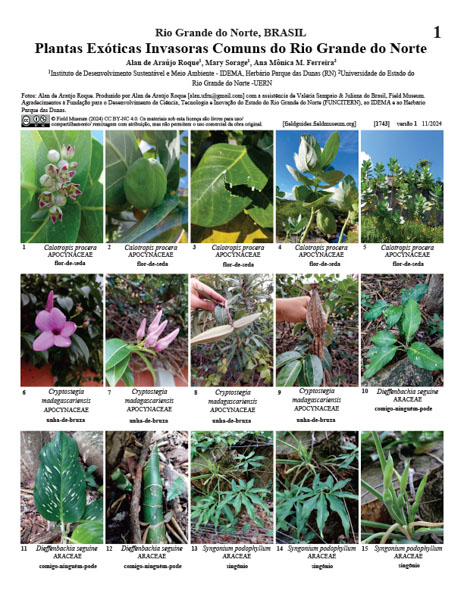 Plantas exóticas invasoras comunes de Rio Grande do Norte