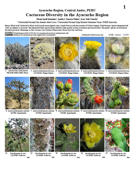 Diversidad de Cactáceas en la Región Ayacucho