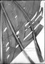 Field Museum photo negatives collection; Hanover specimen of Geonoma edulis H. Wendl. ex Spruce, COSTA RICA, H. Wendland, Type [status unknown], HAN