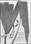 Field Museum photo negatives collection; Hanover specimen of Carludovica serpens H. Wendl., HAN