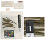 Pezizella aristospora Bonar, U.S.A., L. Bonar 660, Type [status unknown], F