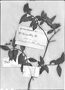 Field Museum photo negatives collection; Genève specimen of Myrcia triantha DC., Type [status unknown], G